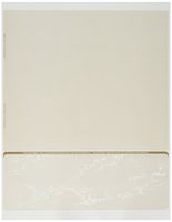 ValueChex Check Paper, Business Check On Bottom, Secure Tan Prestige, 2000 Count (VS11TP-3256)