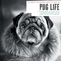 Pug 2018 Life Wall Calendar
