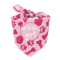hecho Dog Birthday Bandana - Girl
