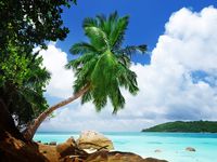 DZJYQ 6.5x5ft(2x1.5m) Blue Sky White Cloud Green Coconut Tree Stone Mountain Beach Ocean Sea Holiday Tour Island Wedding Birthday Party Beautiful Scenery Backdrop Photography Background 238