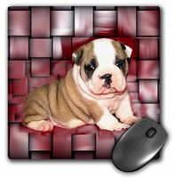 3dRose LLC 8 x 8 x 0.25 Inches British Bulldog Puppy Mouse Pad (mp_4118_1)