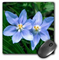 3dRose USA Kansas Prairie Flower Mouse Pad (mp_191556_1)