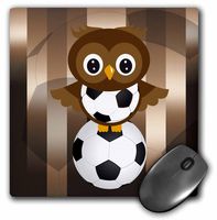 3dRose A Cute Brown Owl Stands On A Soccer Ball Mouse Pad, 8" x 8" (mp_181745_1)