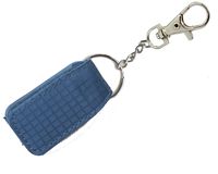 Keychain pouch with clip for handbag/ zipper/ sport bag/ belt/ strap for Fitbit Flex / Fitbit One, Misfit Shine, Withings Pulse O2 ox, Sony Smartband swr 10. fit strap/ belt / bra middle up to 2 INCHES ONLY. BLUE key