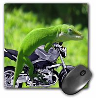 3dRose LLC 8 x 8 x 0.25 Inches Gecko Rider Mouse Pad (mp_21653_1)