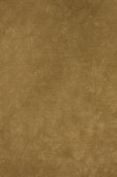 Backdrop Alley Dusty Gold Crush Muslin Photo Background, 10' x 24'