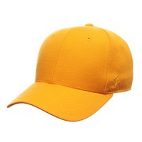 Zephyr Mens DH Fitted Hat, Gold, 7 3/4