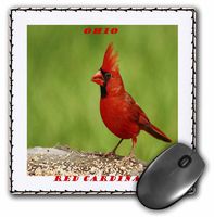 3D Rose"State Bird of Ohio Red Cardinal" Matte Finish Mouse Pad - 8 x 8" - mp_50941_1