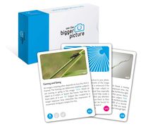 bigger picture cards - Pocket Edition