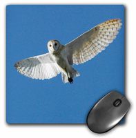 3dRose LLC 8 x 8 x 0.25 Inches Barn Owl in Daytime Flight Bernard Friel Mouse Pad (mp_89028_1)