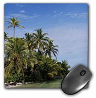 3dRose LLC 8 x 8 x 0.25 Inches Palm Trees and Ocean San Blas Islands Mouse Pad (mp_10394_1)