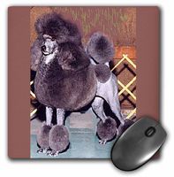 3dRose LLC 8 x 8 x 0.25 Inches Standard Poodle Mouse Pad (mp_367_1)