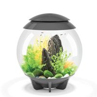 biOrb Halo 30 Aquarium with MCR Lighting - 8 Gallon, Grey