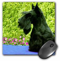 3dRose LLC 8 x 8 x 0.25 Inches Mouse Pad, Scottie (mp_802_1)