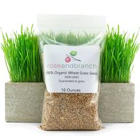 Organic Wheat Grass Seeds, Cat Grass Seeds, 16 Ounces- 100% Organic Non GMO - Hard Red Wheat. Harvested in The US. Easy to Grow.