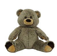 BEAREGARDS.COM Recordable Brown Grizzly Bear with 30 Second Digital Recorder