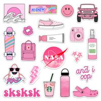 VSCO Pink Vinyl Sticker Set for Water Bottles and Laptops