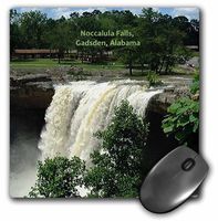 3dRose LLC 8 X 8 X 0.25 Inches Noccalula Falls Gadsden Mouse Pad (mp_26224_1)