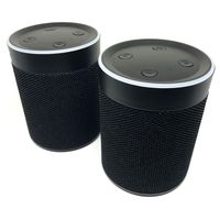 True Wireless Speakers: TWS Portable Twin Bluetooth Mini Stereo Speaker Dual Set Big Bass for Apple iPhone iOS Google Android Samsung Galaxy Nexus Smart Phones Laptops MAC PC Tablets Smartphones Echo