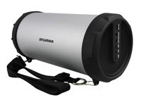 Sylvania SP803-SILVER Bluetooth Tube Speaker with Radio and Shoulder Strap Silver (Renewed)