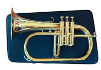 2014 Zweiss Bb Flugelhorn FLUGEL HORN. Master Series with Designer Hardcase
