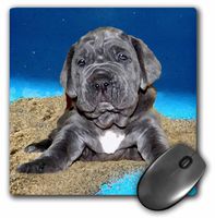 3dRose LLC 8 x 8 x 0.25 Inches Mouse Pad, Neapolitan Mastiff Puppy (mp_4822_1)