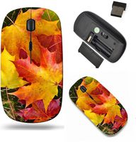 Liili Wireless Mouse Travel 2.4G Wireless Mice with USB Receiver, Click with 1000 DPI for notebook, pc, laptop, computer, mac book Closeup of colorful autumn maple tree leaves on moss background Image