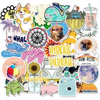 50 Pcs Waterproof Cute Vinyl Stickers Pack for Water Bottle Laptop for Teen (C)