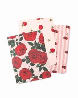Sonix Stationery [3-Pack] Limited Edition Notebook Set - Amaretto