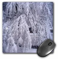 3dRose LLC 8 x 8 x 0.25 Inches Springtime in Wisconsin Mouse Pad (mp_6231_1)