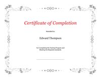 St. James Award Certificates, Premium Weight, 15 Blank Plain White Paper Sheets, White with Silver Foil Metallic Border, Computer Paper, Laser & Inkjet Printer Compatible, 11 x 8.5", 15/Pack