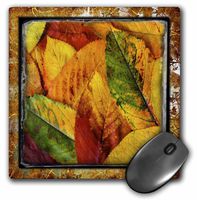 3dRose LLC 8 x 8 x 0.25 Inches Shabby Autumn Pattern Mouse Pad (mp_48124_1)