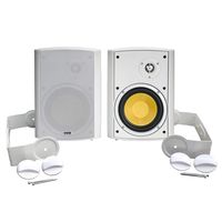 Bic America VK6IO 6.5-Inch Kevlar Series Indoor/Outdoor Speakers with Mounting Brackets