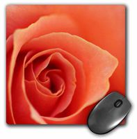 3dRose LLC 8 X 8 X 0.25 Inches Mouse Pad Beautiful Red Rose with a Soft Focus (Mp_181335_1)