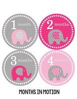 Months in Motion Baby Monthly Stickers - Baby Milestone Stickers - Newborn Girl Stickers - Month Stickers for Baby Girl - Baby Girl Stickers - Newborn Monthly Milestone Sticker (Style 246)