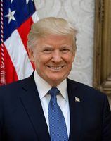 Donald J. Trump Photograph - Historical Artwork from 2017 - US President Portrait - (11" x 14") - Matte