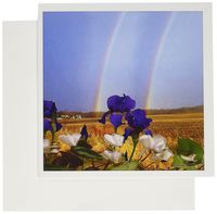 3dRose Rainbows and Irises - Greeting Cards, 6 x 6 inches, set of 6 (gc_14368_1)