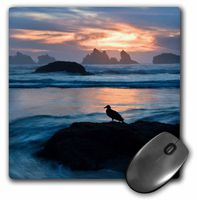 3D Rose"USA Oregon Bandon Beach. Seagull On Rock at Twilight." Matte Finish Mouse Pad - 8 x 8" - mp_231472_1