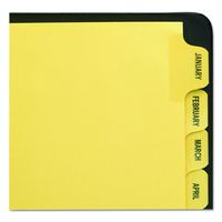 Avery Preprinted Dividers with JAN-DEC Tabs, 1 Set (11307)