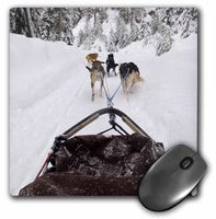 3dRose LLC 8 x 8 x 0.25 Inches Mouse Pad, British Columbia, Whistler, Dog Sled Adventure-Cn02 Tdr0076 - Trish Drury (mp_71534_1)