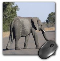 3dRose LLC 8 X 8 X 0.25 Inches Kruger Elephant on Road Mouse Pad (mp_26841_1)