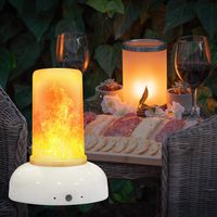 ABAMERICA Led Flame Effect Light Bulb with Remote - Portable Rechargeable Flickering Flame Lamp with Timer- Realistic LED Flame Bulb with Glass Shade for Restaurant, Cafe & Hotel LED Fire Bulbs