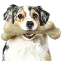 Pet Qwerks Real Bacon Infused Dinosaur BarkBone - Durable Dog Toy for Aggressive Chewers, Tough Indestructible Power Chewer Bones | Made in USA, FDA Compliant Nylon - XXLarge for Medium Dogs
