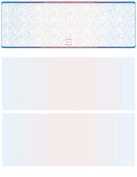 Blank High Security Top Computer Checks, 250 Blue/Red Checks