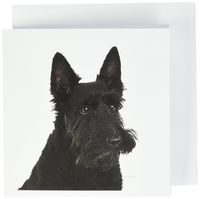 3dRose Scottish terrier - Greeting Cards, 6 x 6 inches, set of 6 (gc_21045_1)