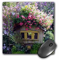 3dRose LLC 8 x 8 x 0.25 Inches Mouse Pad, Birdhouse (mp_990_1)