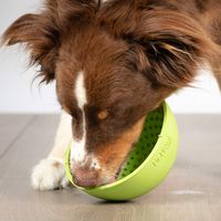 Hyper Pet LickiMat Wobble Slow Feeder, Anxiety Relief, Boredom Buster (Dog & Cat Bowl-Perfect for Dog Food, Dog Treats, Cat Food, Cat Treats)[Great Alternative to a Slow Feeder Dog Bowl & Snuffle Mat]