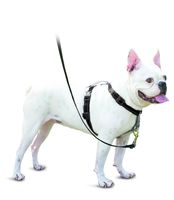 PetSafe 3in1 Harness, from The Makers of The Easy Walk Harness, Fully Adjustable No-Pull Dog Harness