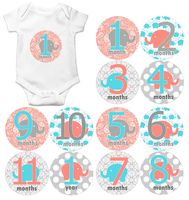 Gift Set of 12 Round Keepsake Photography Monthly Baby Stickers with Coral and Aqua Elephants MOSG002