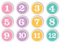 Tiny Ideas First Year Monthly Milestone Photo Sharing Baby Belly Stickers, 1-12 Months, Pink